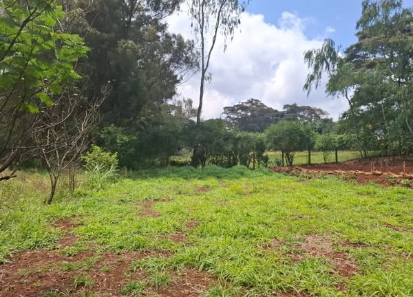 Prime 5-Acre Land with 2 Houses for Sale In Windy Ridge, Karen