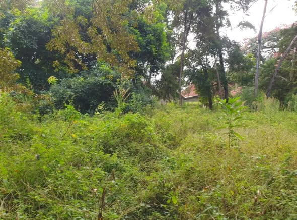 Prime 5 Acre Plot for Sale in Runda Paradise. Image