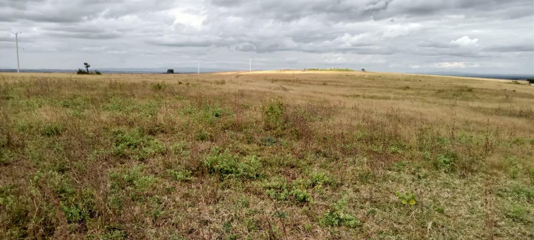 PRIME 5 ACRES FARM LAND FOR SALE IN BISIL, KAJIADO COUNTY