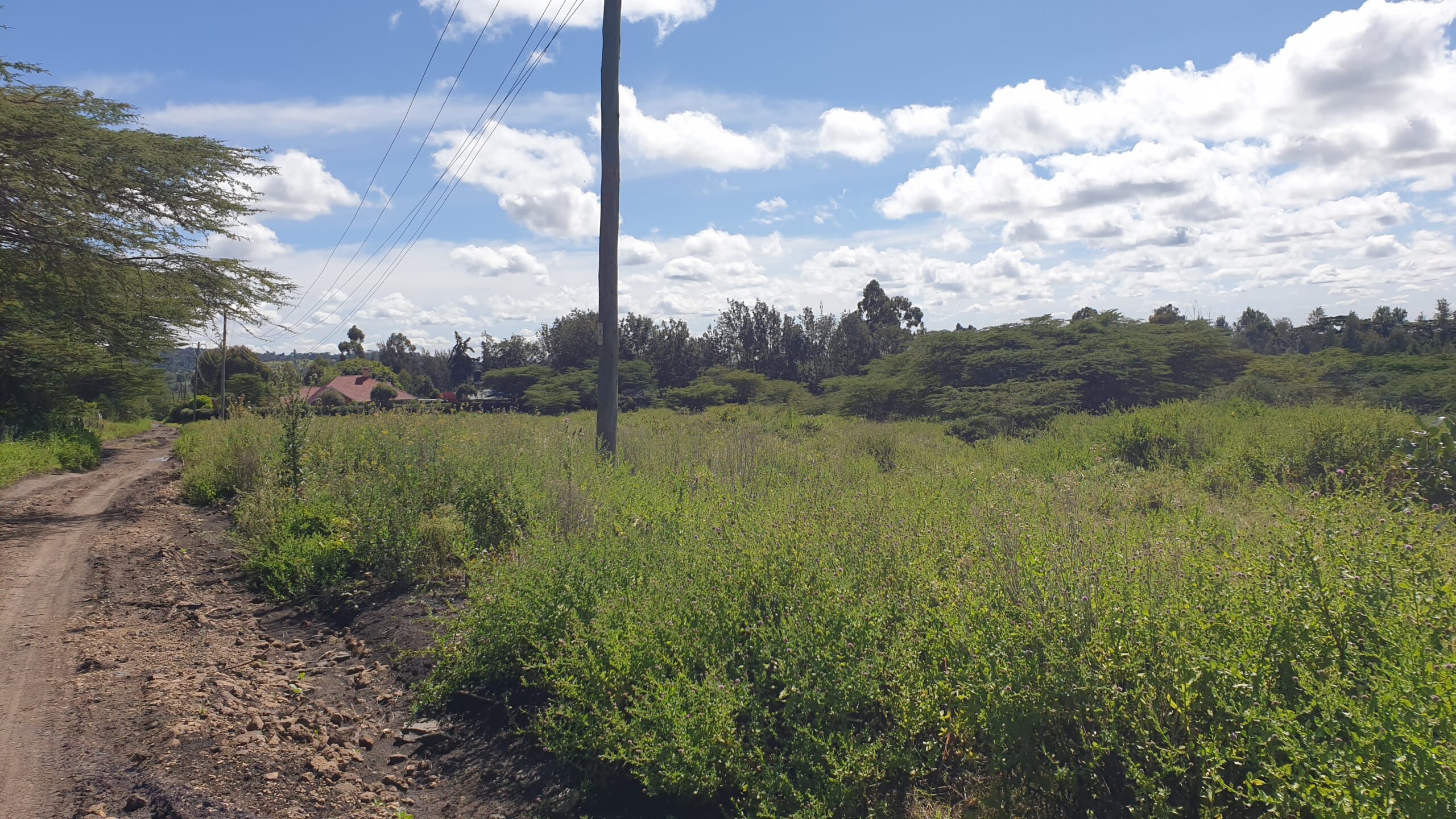 Prime 5 Acres for Sale in Kiserian