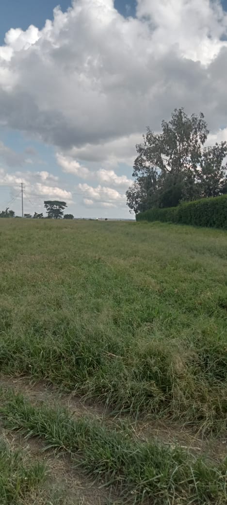 PRIME 5 ACRES LAND FOR SALE IN KAJIADO TOWN