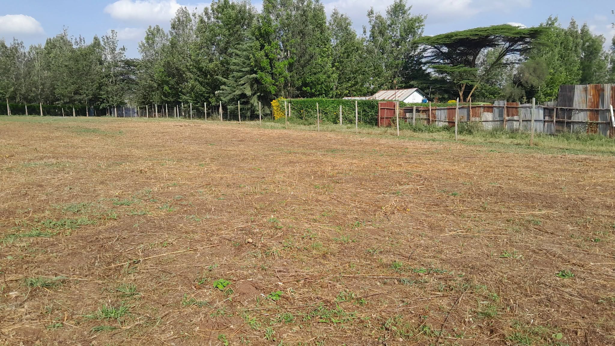prime 5 acres land for sale in matasia, ngong Image