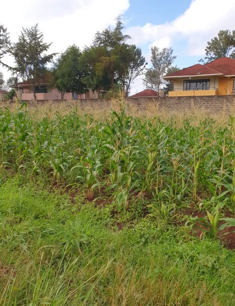 Prime 5 Acres of Land For Sale in Runda, Paradise