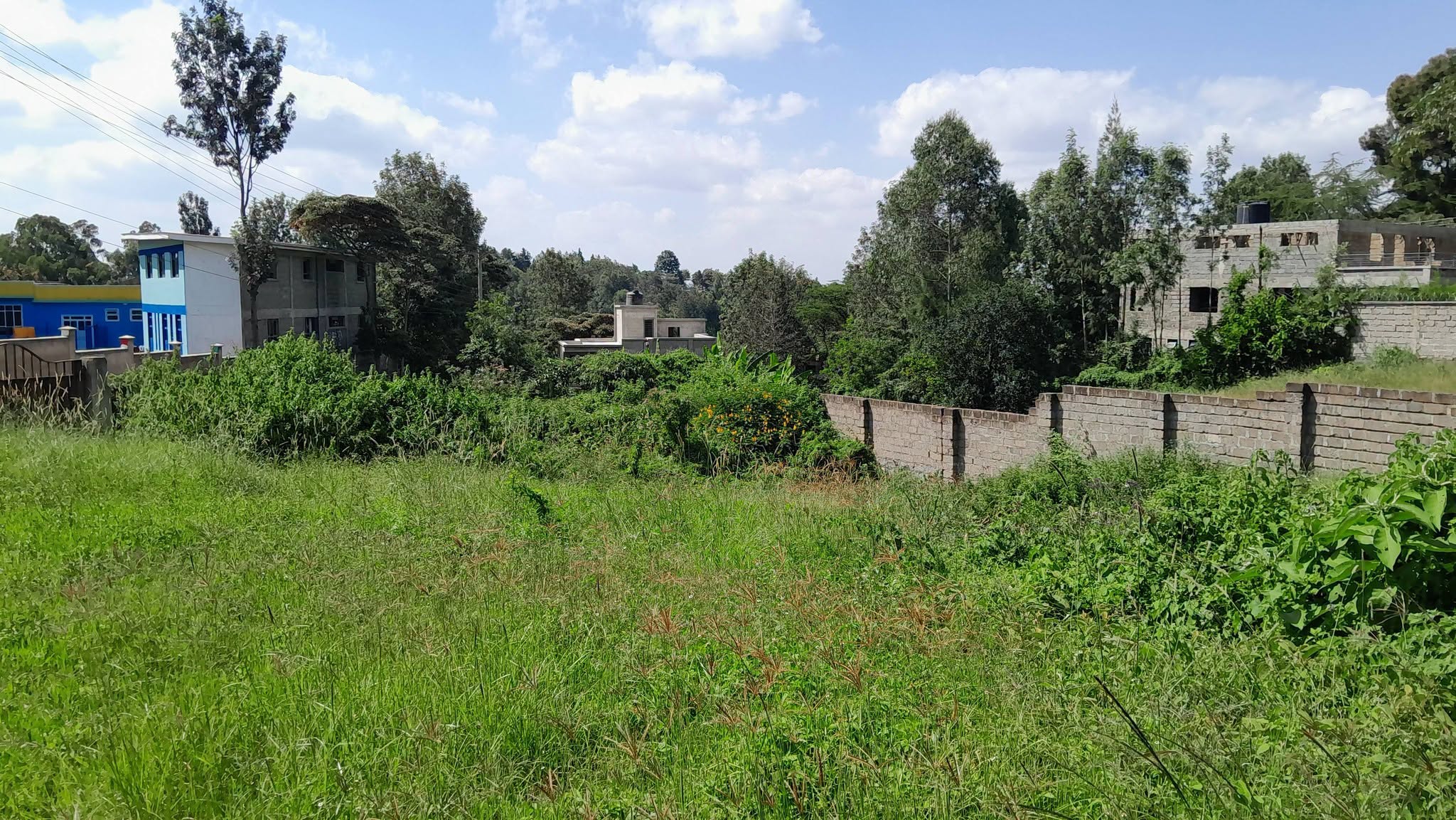 prime 50 by 100 plot for sale in bondeni, ngong Image