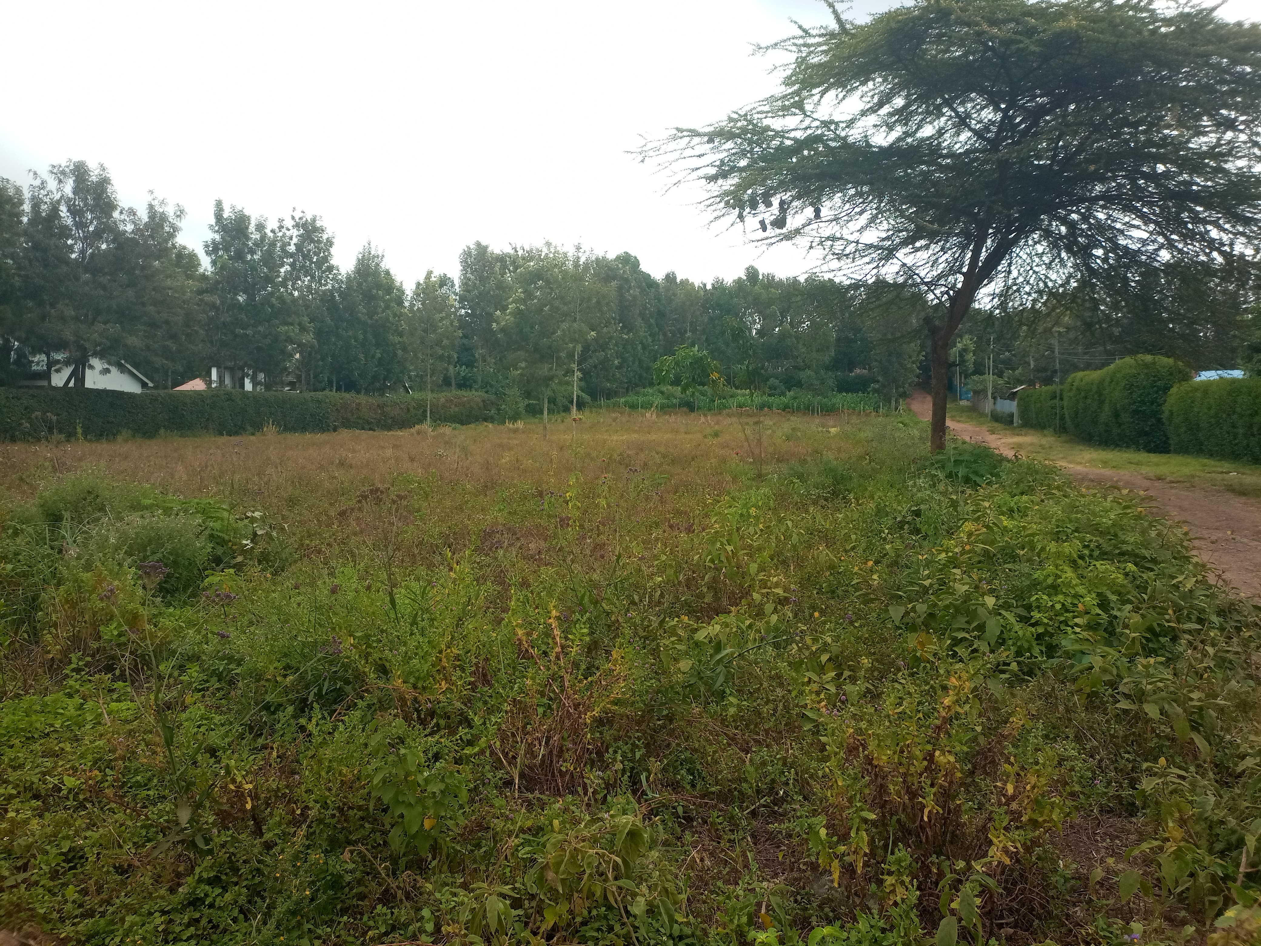 Prime 50 by 100 Plot For Sale in Ngong-Oloolua Image