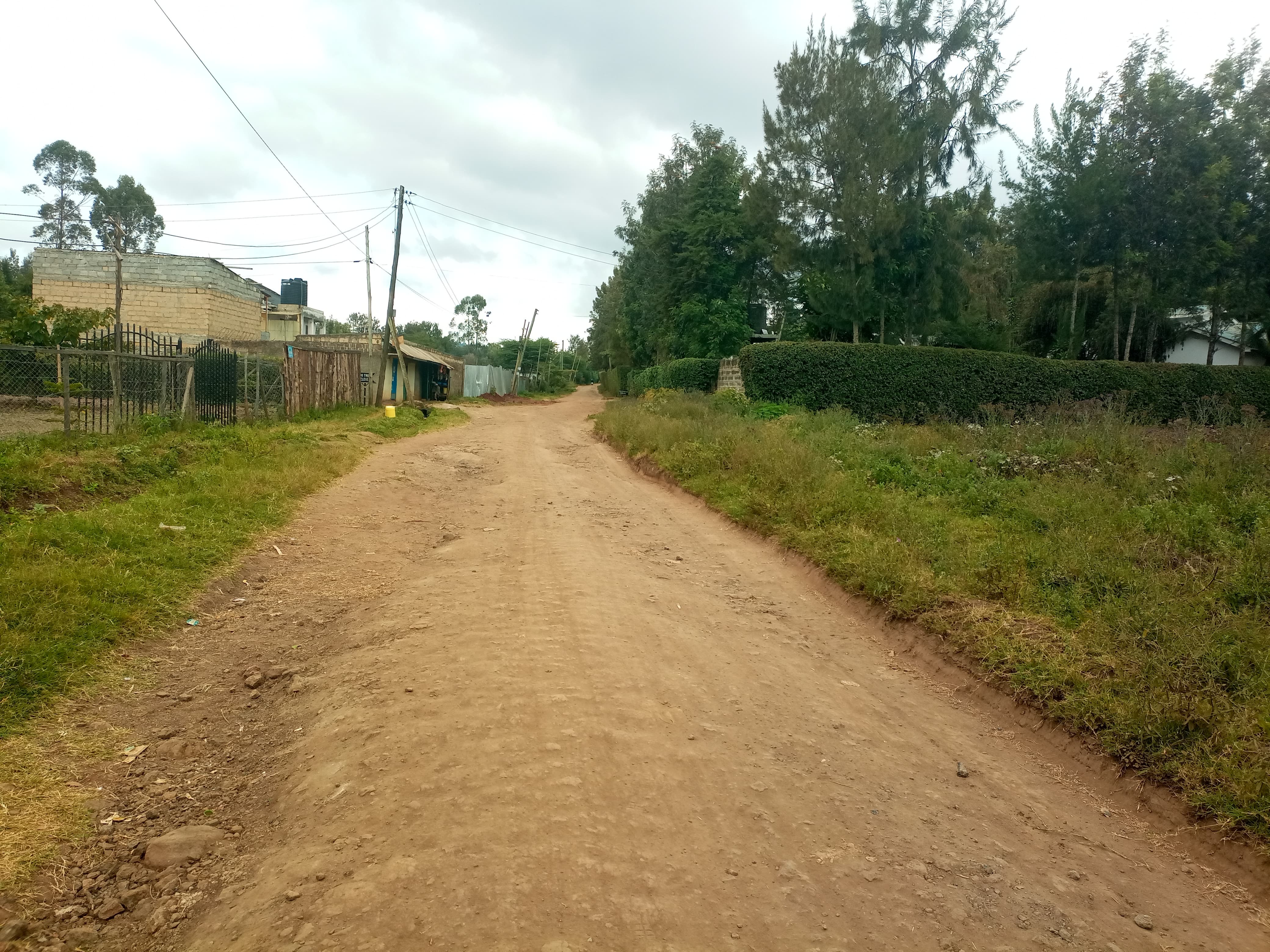 Prime 50 by 100 Plot For Sale in Ngong-Oloolua