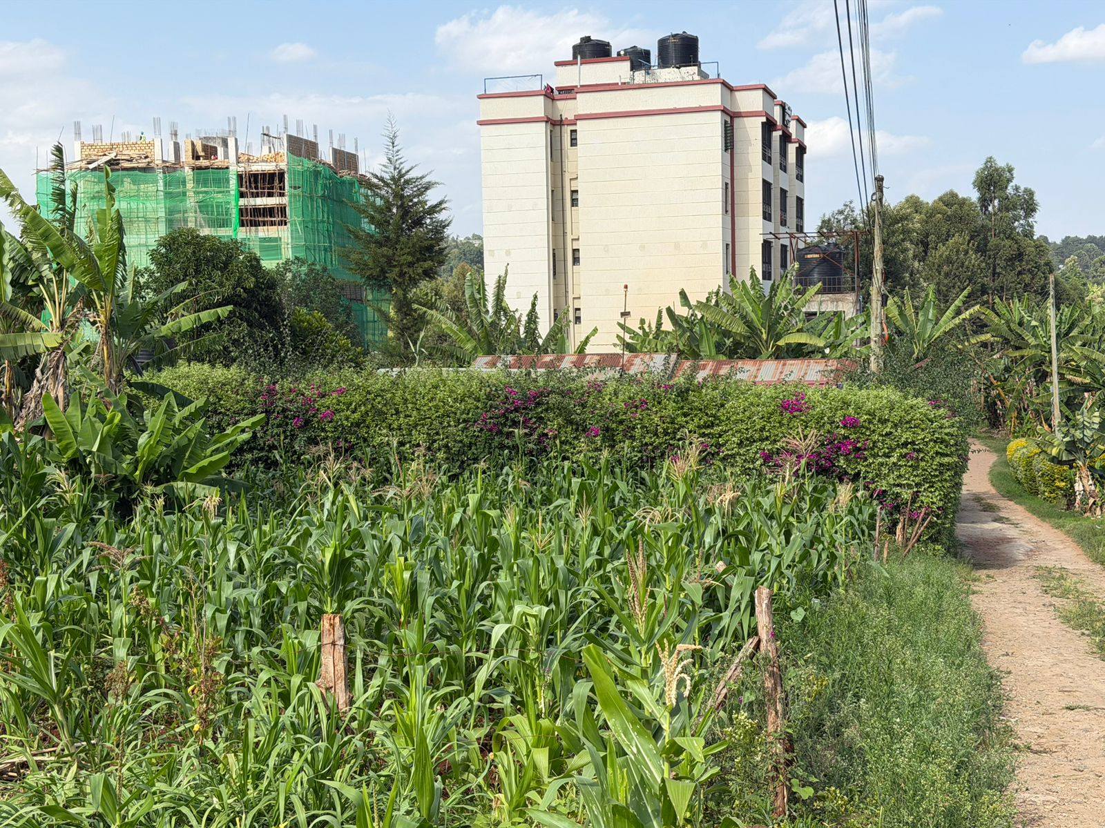 Prime 50×100 Plot for Sale in Ruaka Town Image