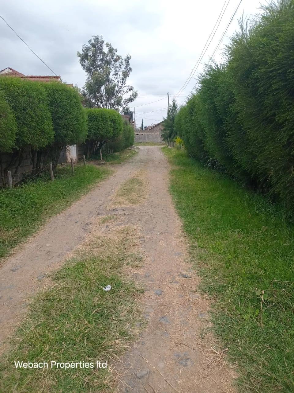 Prime 50x100 Residential Plot for Sale – Syokimau (Community Road) Image