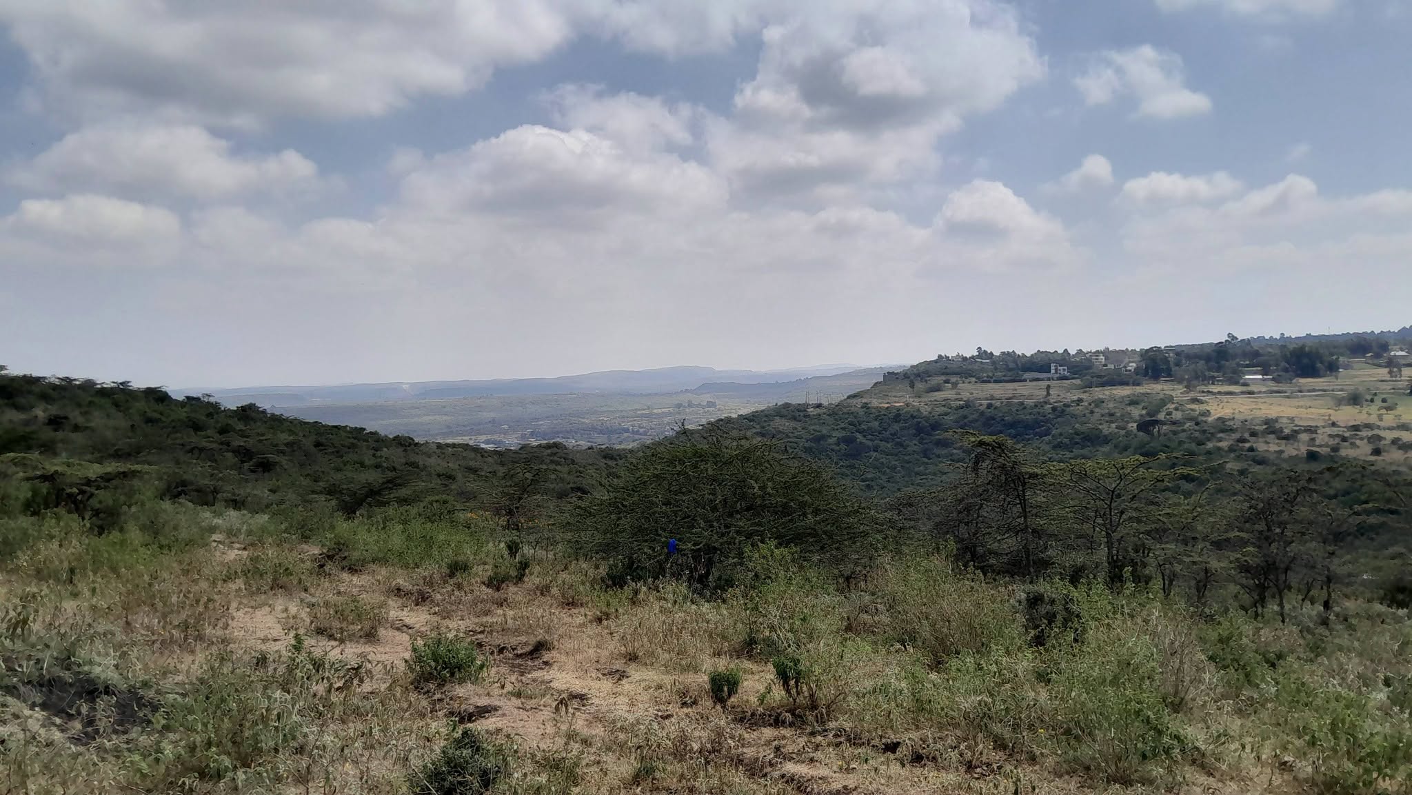 prime 6 Acres land for sale in kibiko, ngong Image