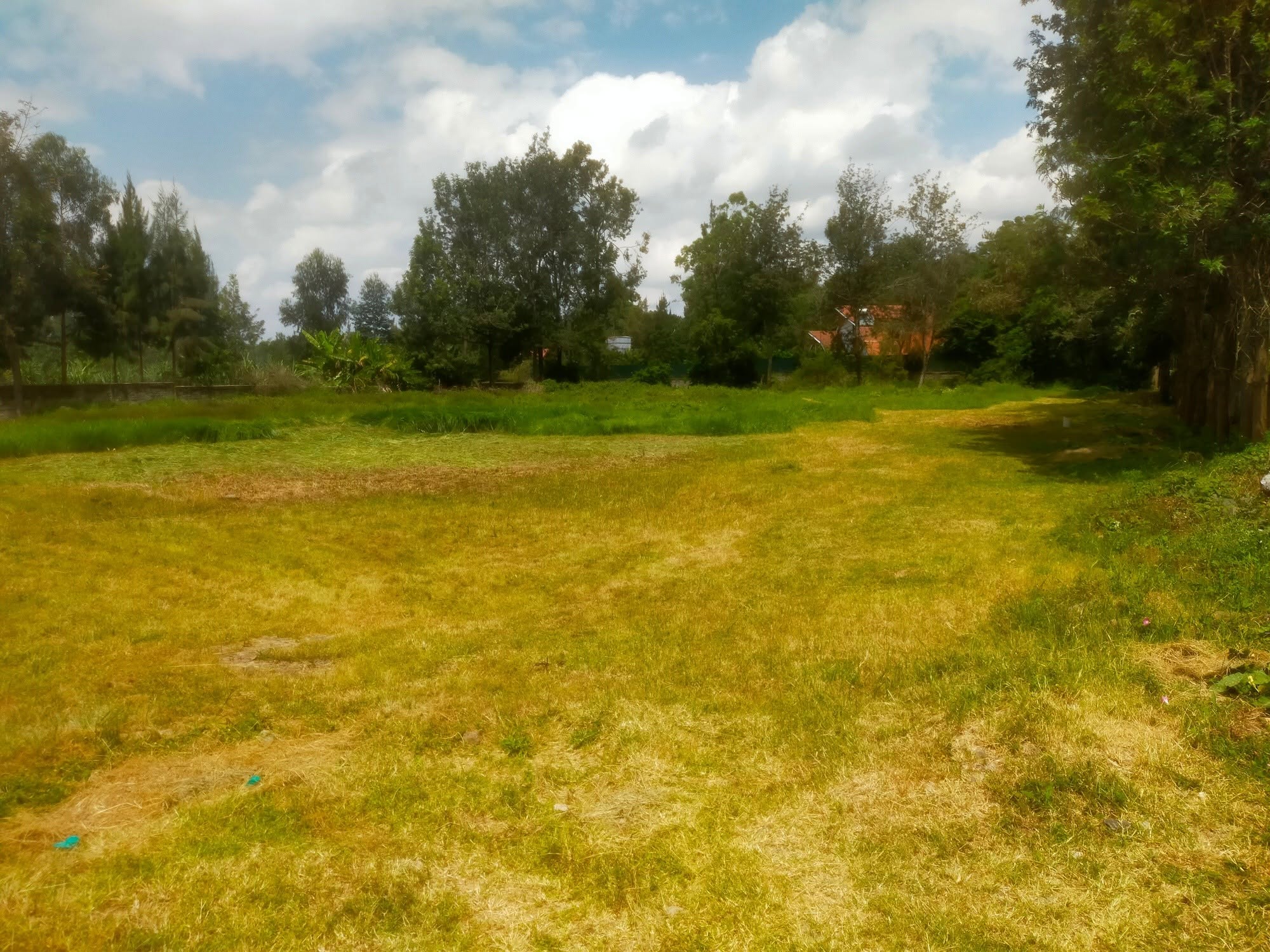 prime ½ acre for sale in Karen Image