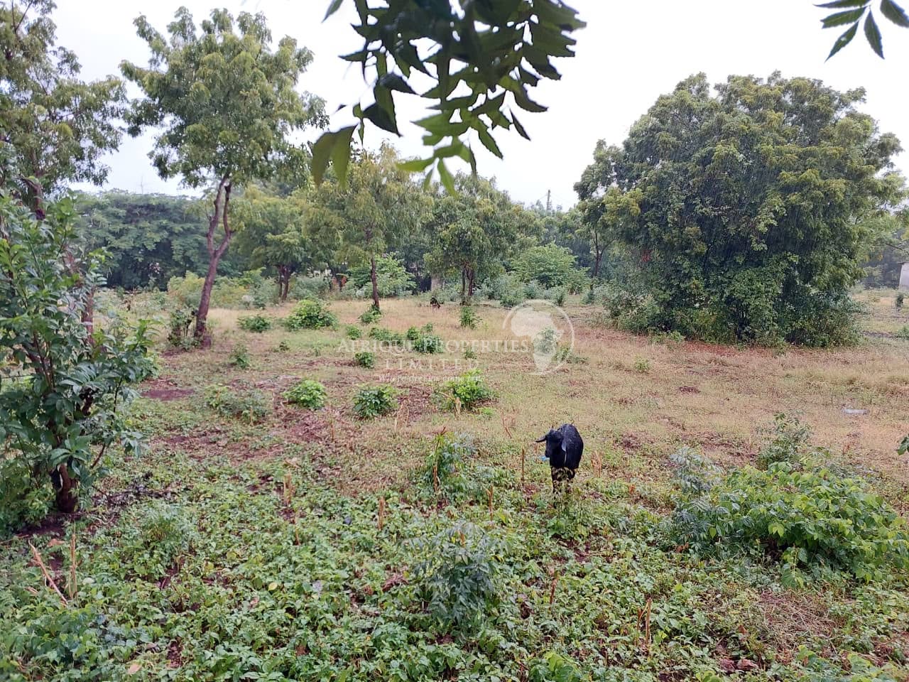 prime  ¼ acre for sale in kilifi, kikambala
