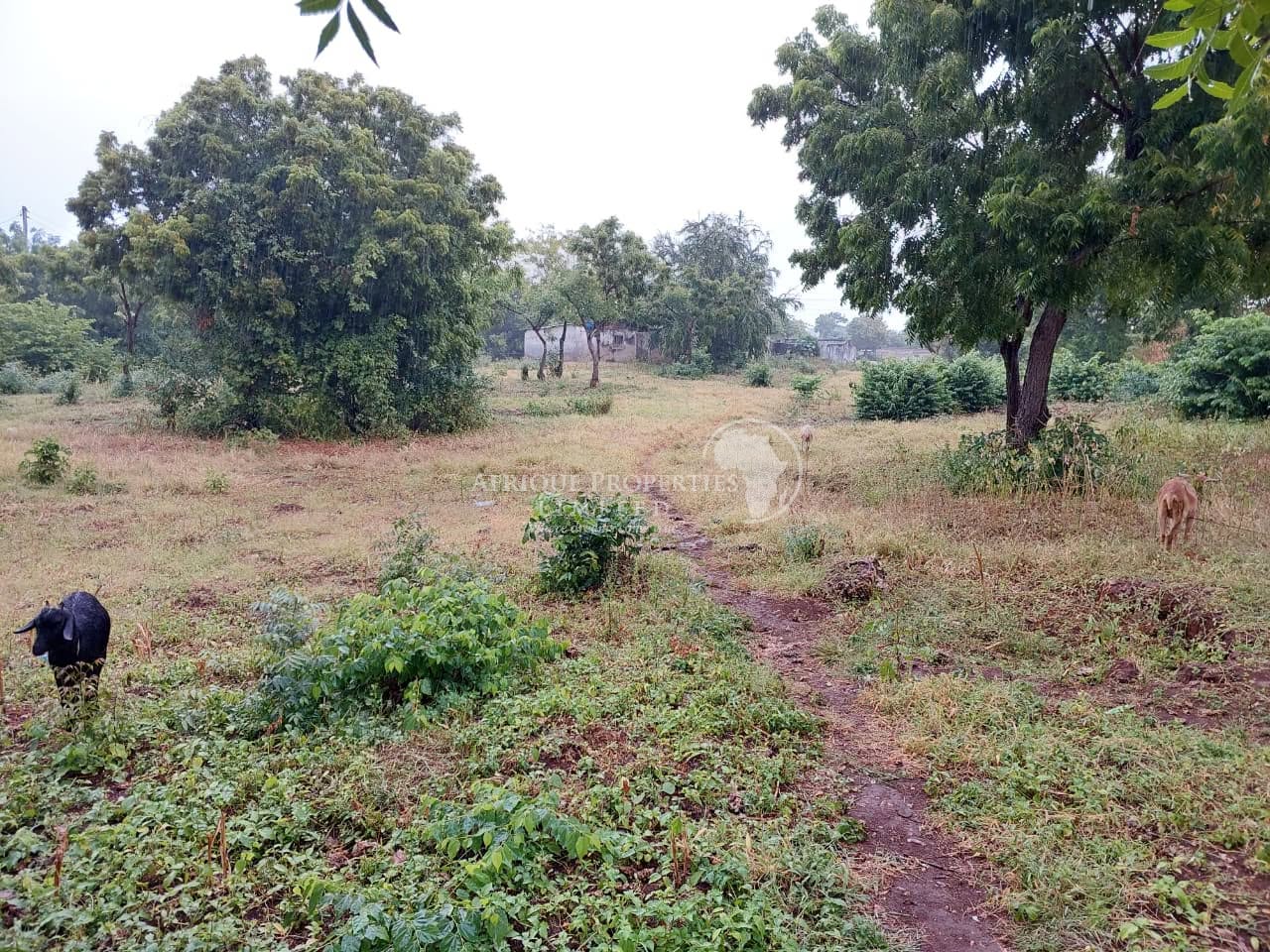 prime ΒΌ acre for sale in kilifi, kikambala Image