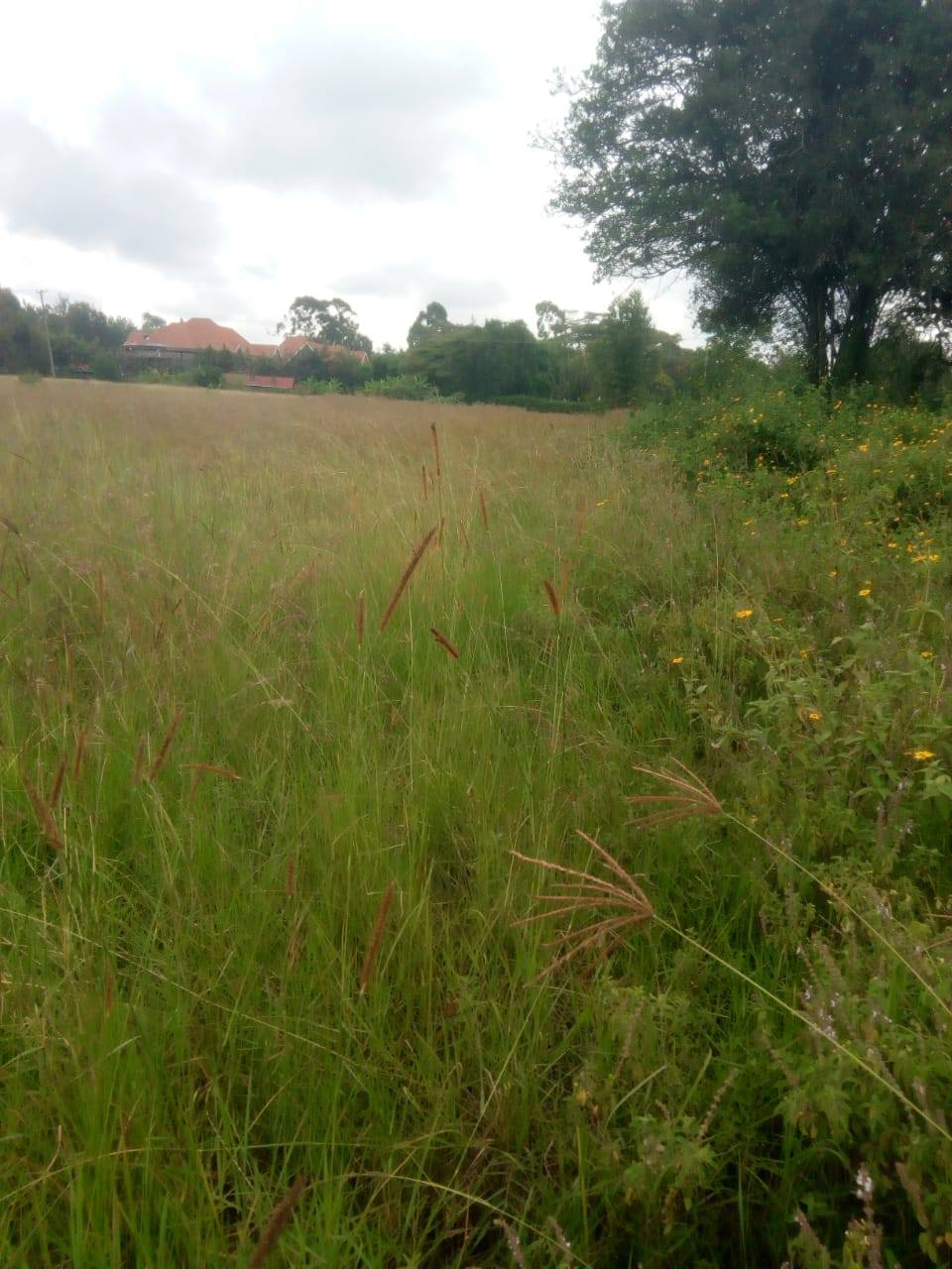 PRIME ½ ACRE FOR SALE – KAREN (KCB AREA)