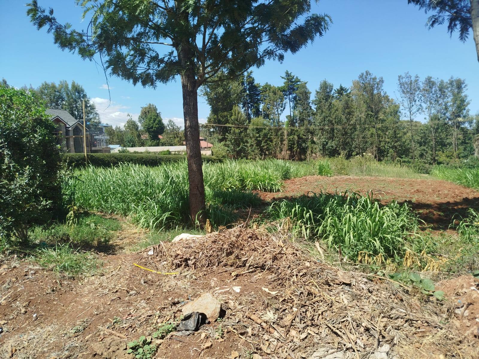 PRIME ½ ACRE FOR SALE – KAREN (RHINO PARK)