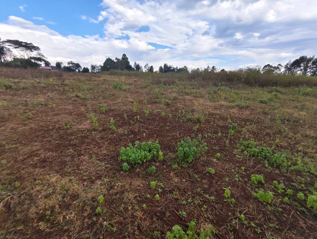 Prime Acre land for sale in Ngong Image