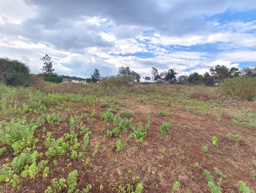 Prime Acre land for sale in Ngong