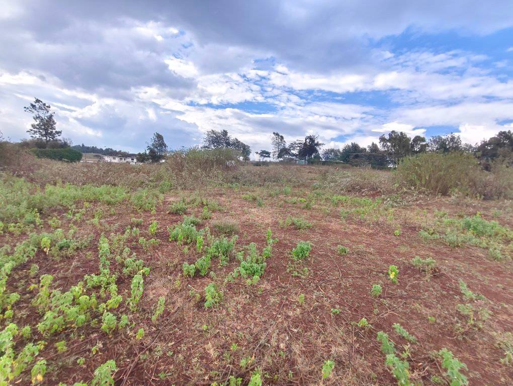 Prime Acre land for sale in Ngong Image