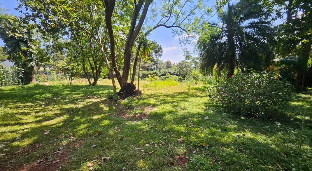 Prime ½-Acre Land for Sale – Old Runda (Off Ruaka Road) Image