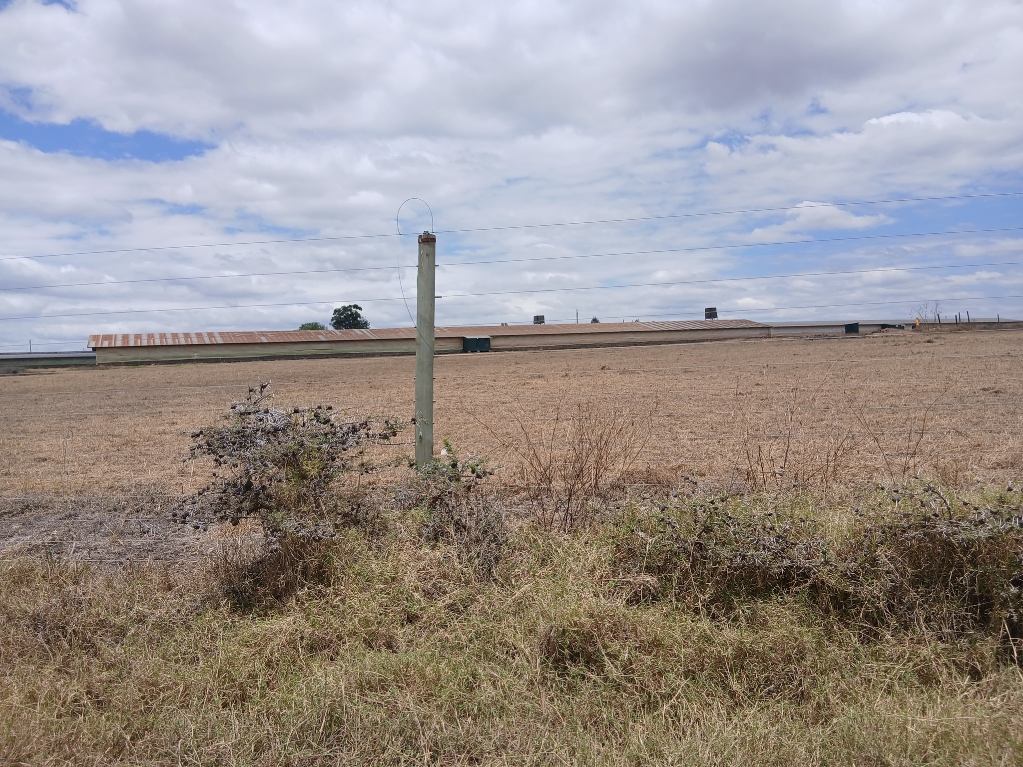 Prime ½ Acre Plot for Sale in Isinya Image