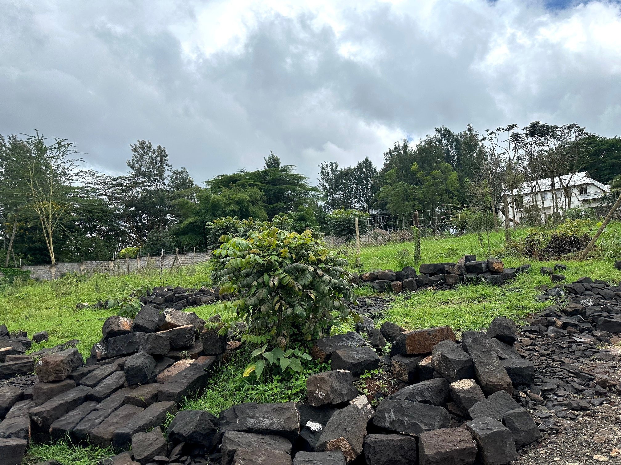 Prime ½ Acre Plot For Sale in Karen