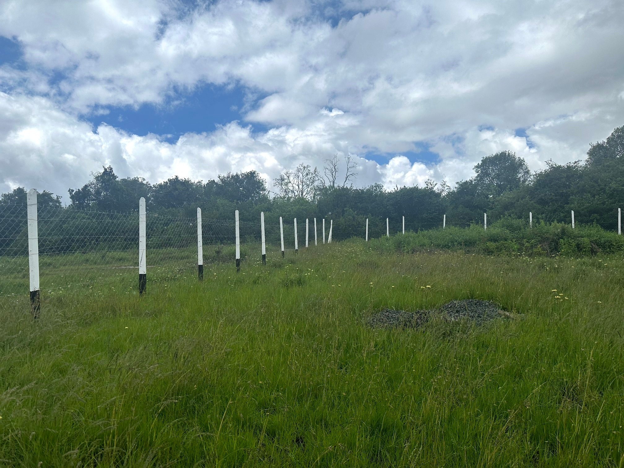 Prime ½ Acre Plot For Sale in Karen Image