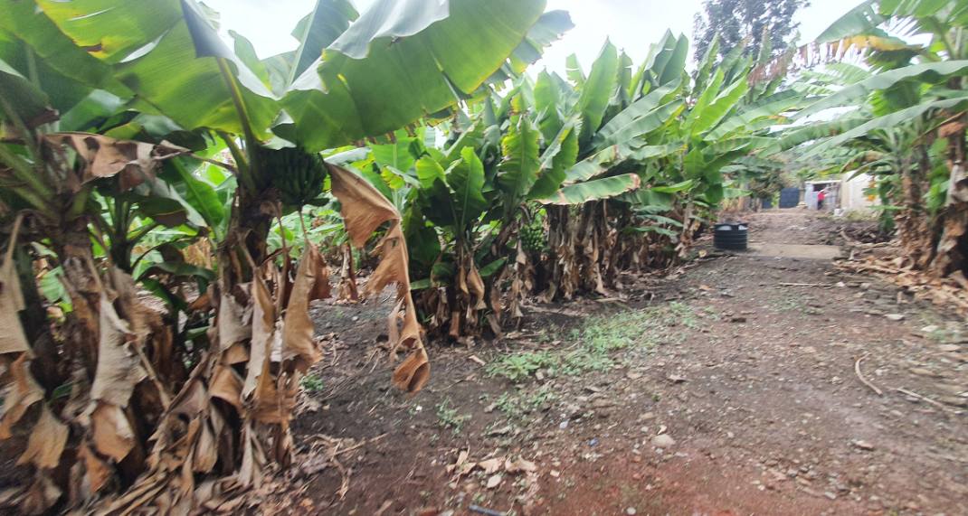 Prime ½ Acre Plot for Sale in Karen