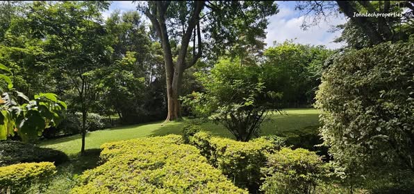 Prime ½ Acre Plot For Sale In Karen Miotoni Image