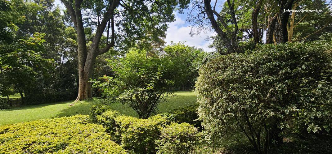 Prime ½ Acre Plot For Sale  In  Karen Miotoni