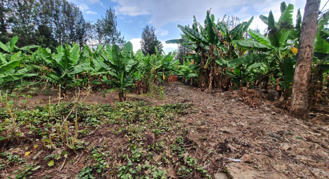 Prime ½ Acre Plot for Sale in Karen Image