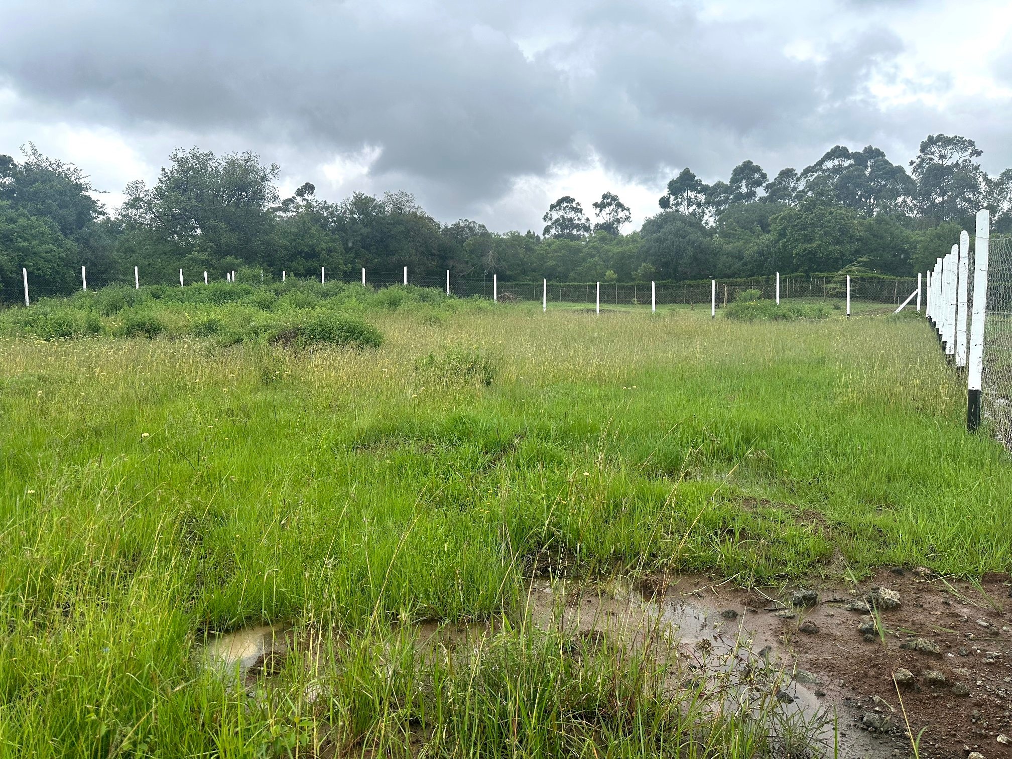 Prime ½ Acre Plot For Sale in Karen, Near KEPHIS