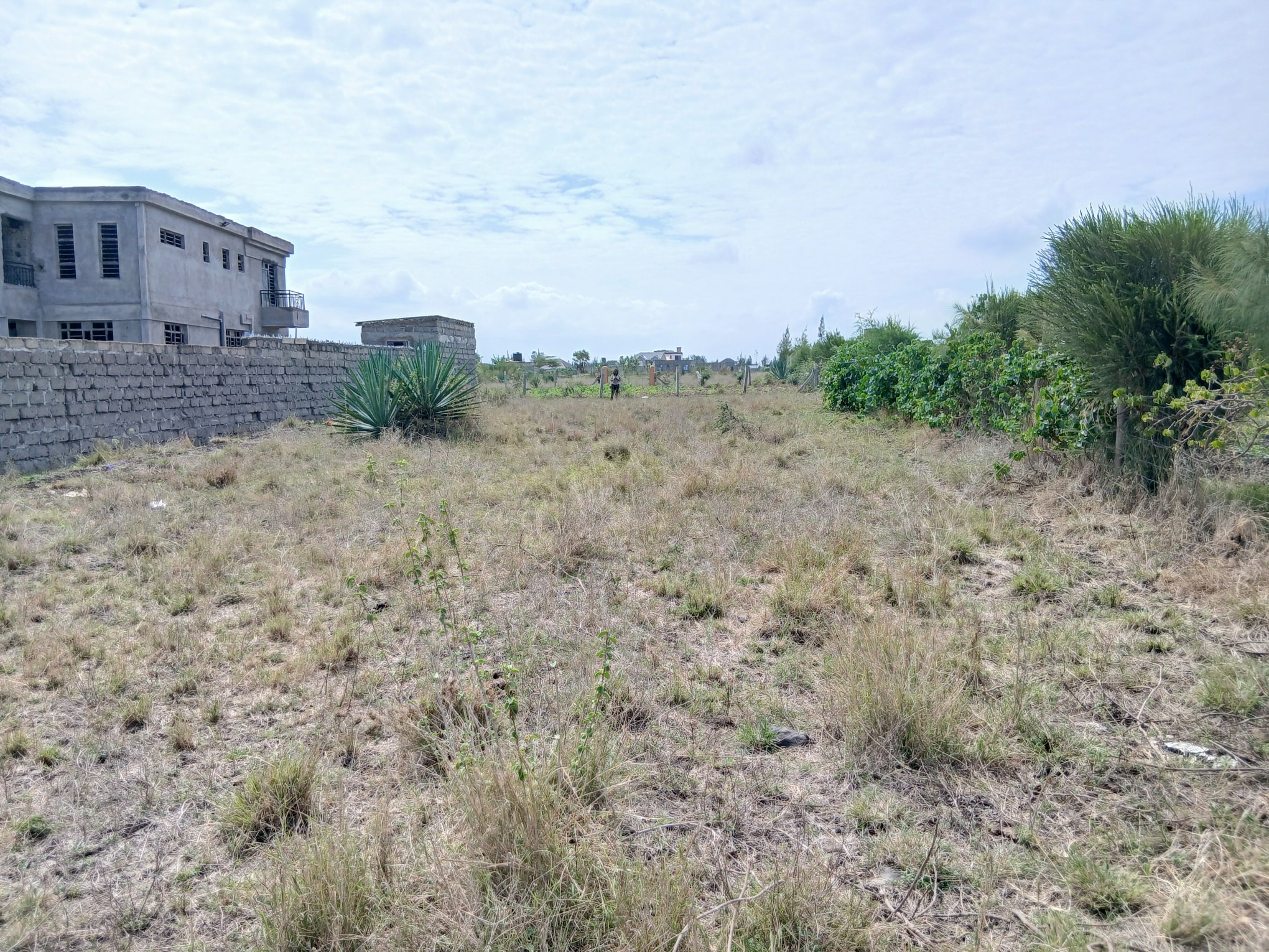 PRIME ¼ ACRE PLOT FOR SALE in Katani (10 min from Utawala)