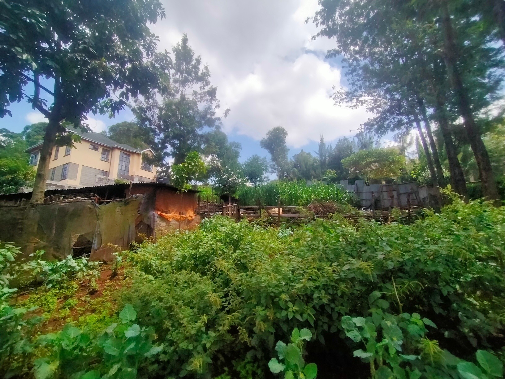 Prime ¼ Acre Plot For Sale in Kerarapon Drive