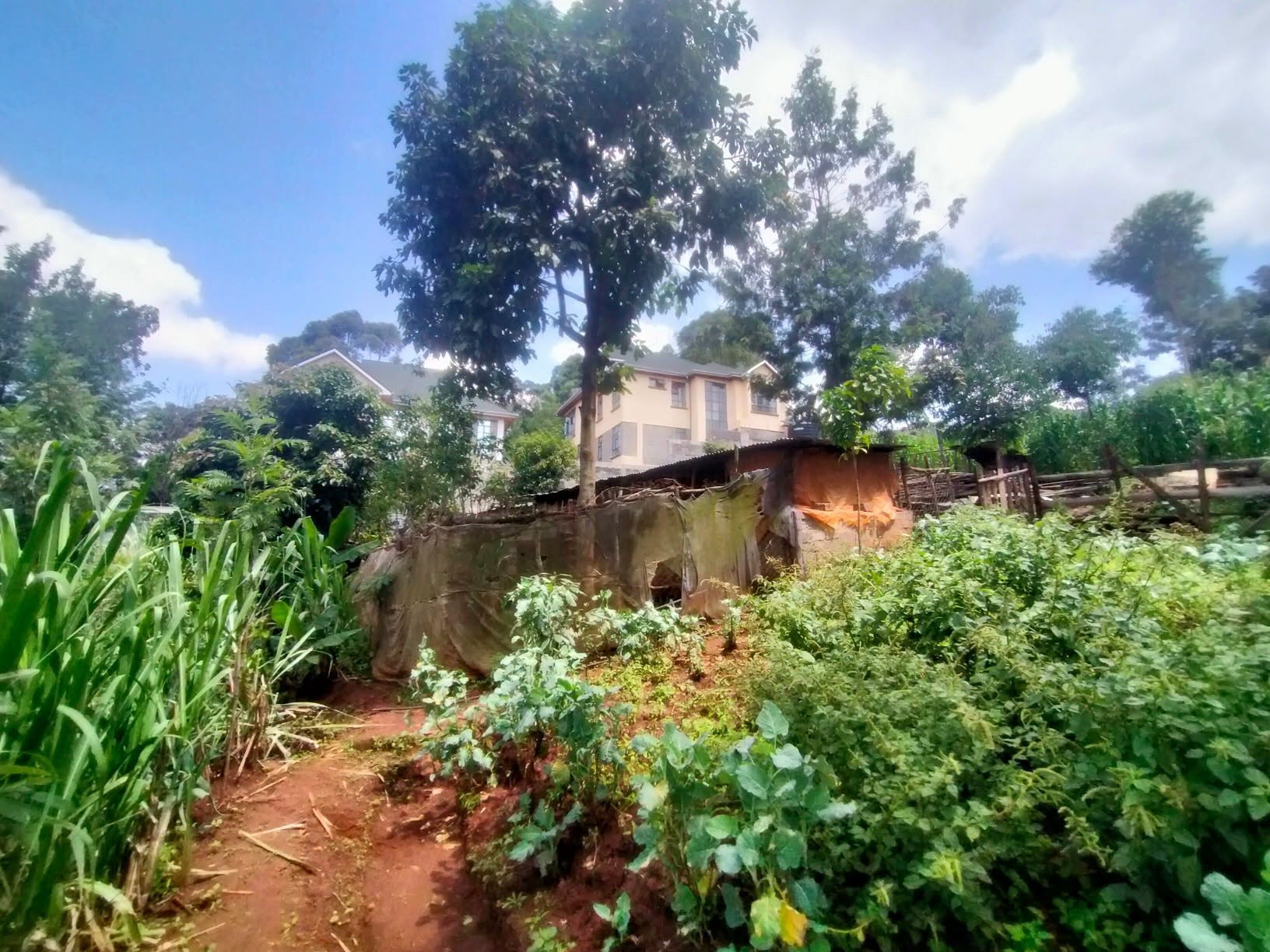 Prime ¼ Acre Plot For Sale in Kerarapon