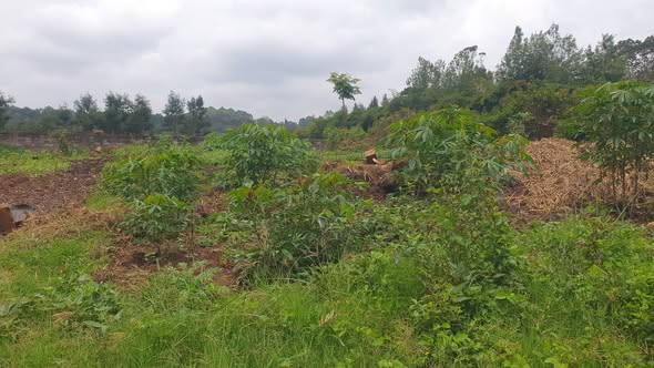 Prime ½-Acre Plot for Sale in Loresho.