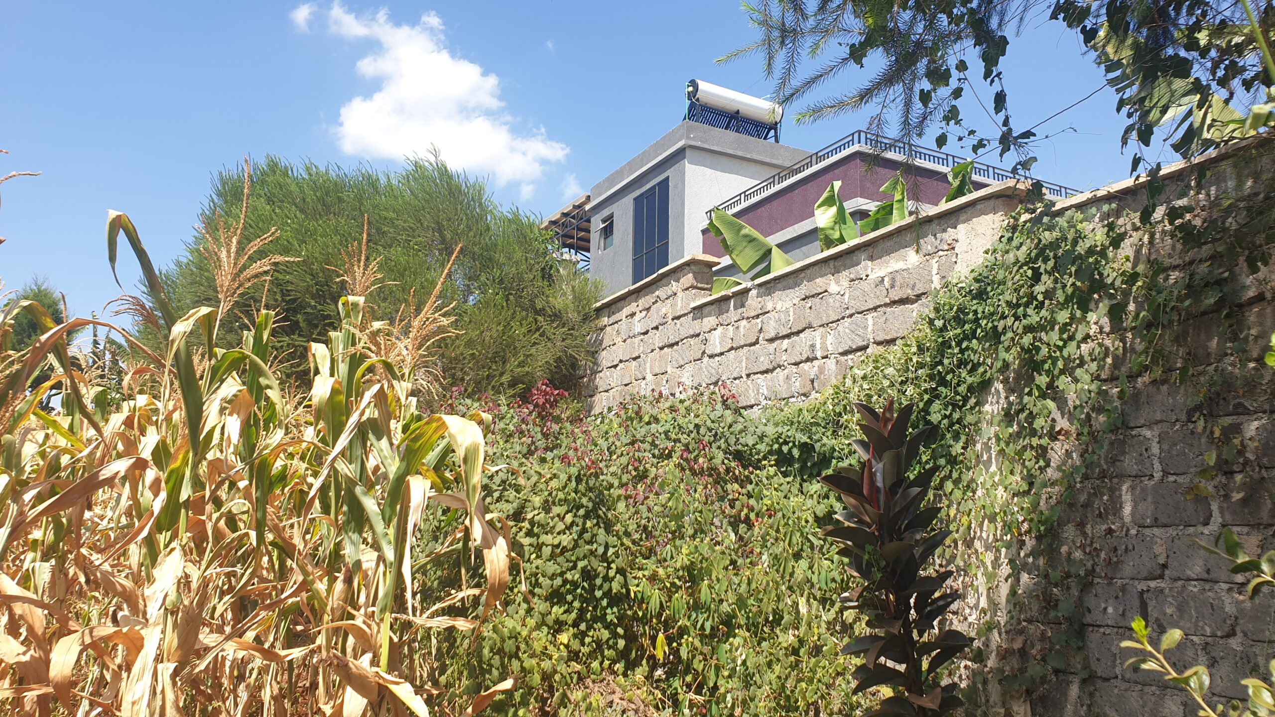 Prime ¼ acre Plot for Sale in Ruiru Image
