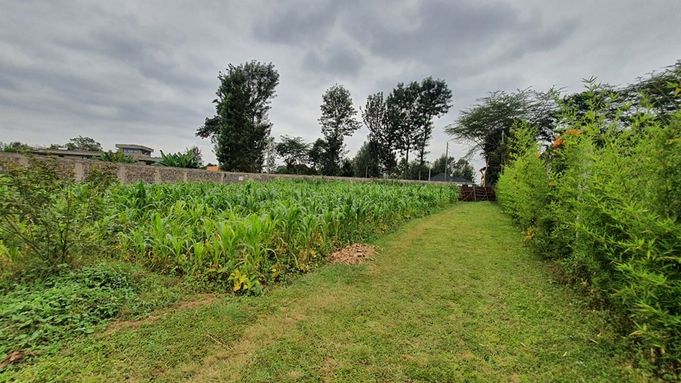 Prime ½ Acre Plot For Sale In Runda Image