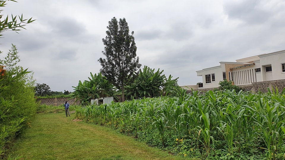 Prime ½ Acre Plot For Sale In Runda Image