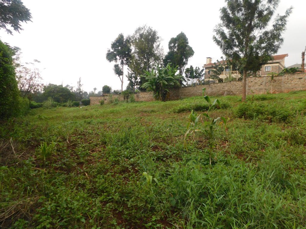 PRIME ½ – ACRE PLOT FOR SALE IN THOME ONE, NAIROBI Image