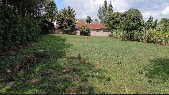 Prime ½ Acre Plot in Kerarapon, West 14 Drive