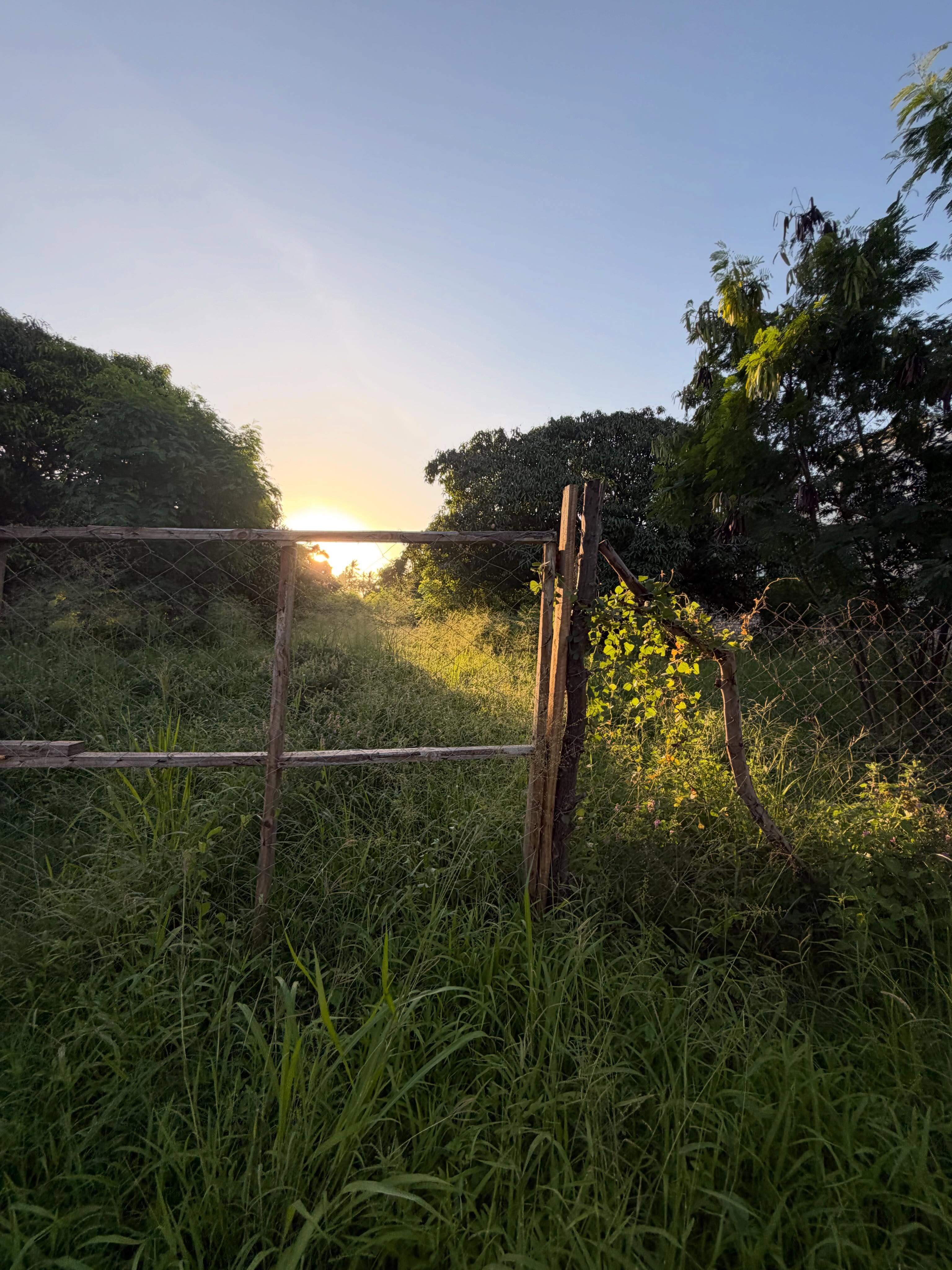 Prime ⅛ Acre Plots for Sale in Kikambala, Kilifi Image