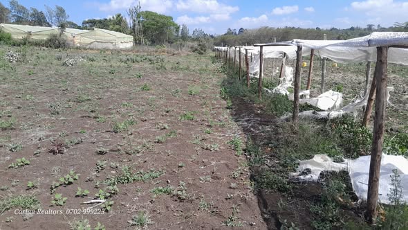 PRIME ½ ACRE RESIDENTIAL PLOT FOR SALE IN KISERIAN-NGONG