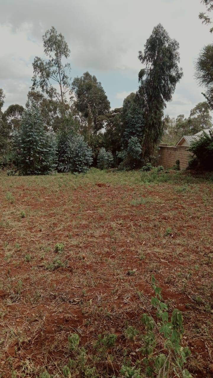 PRIME ¼ ACRE RESIDENTIAL PLOT FOR SALE IN OLOOLUA NGONG
