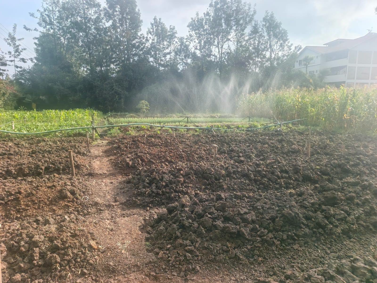 PRIME ¼ ACRE RESIDENTIAL PLOT FOR SALE – MATASIA, NGONG Image