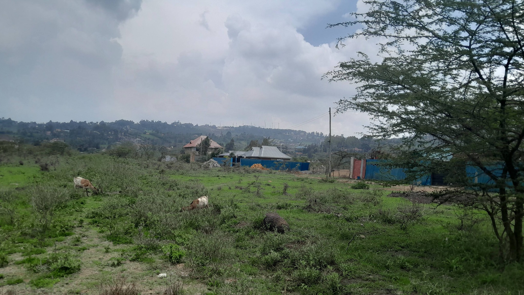 PRIME ⅛ ACRE RESIDENTIAL PLOTS FOR SALE IN KIBIKO, NGONG Image