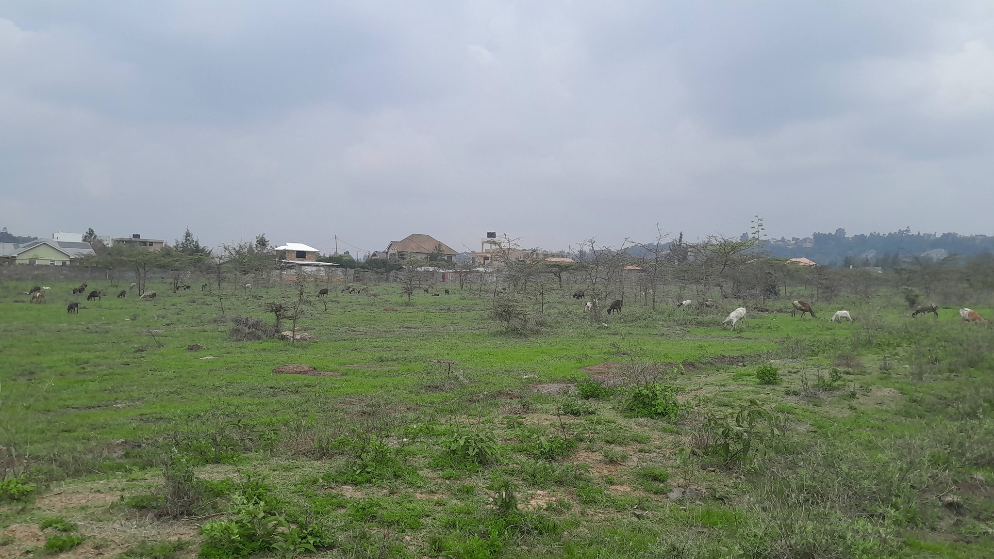 PRIME ⅛ ACRE RESIDENTIAL PLOTS FOR SALE IN KIBIKO, NGONG Image