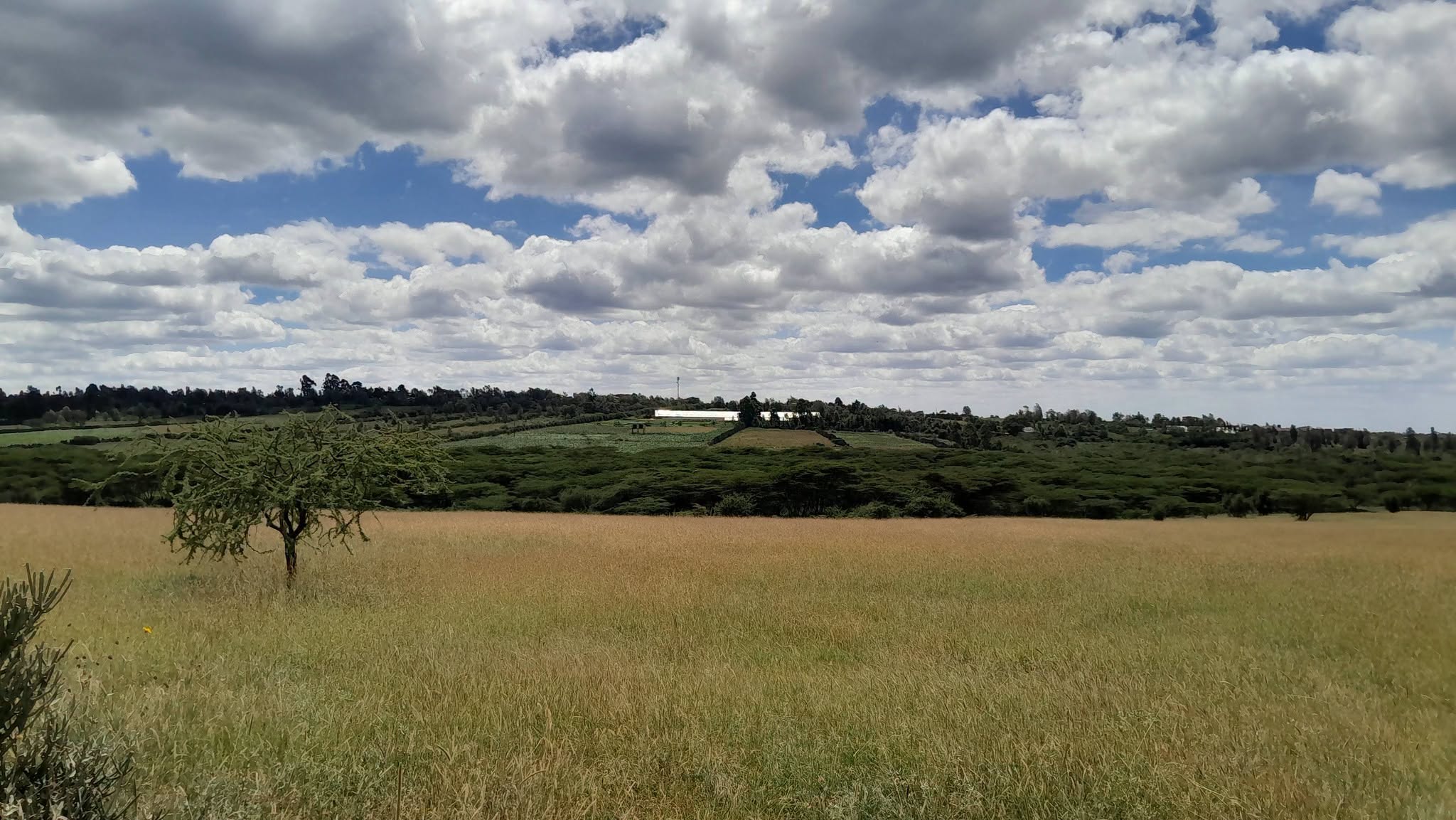 PRIME ⅛ ACRE RESIDENTIAL PLOTS FOR SALE IN OLOIRIEN, KISERIAN