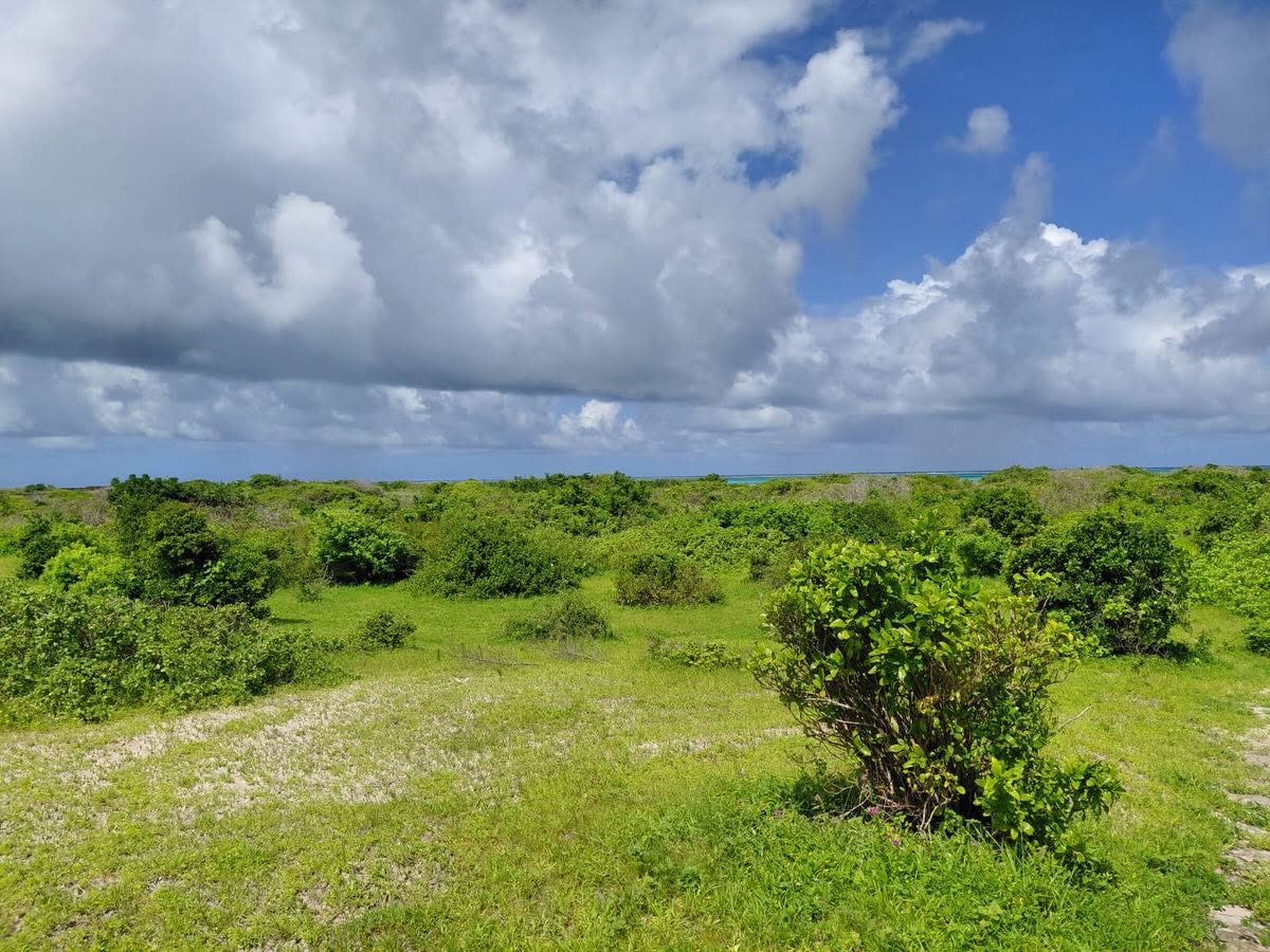 Prime Beachfront Land for Sale Image