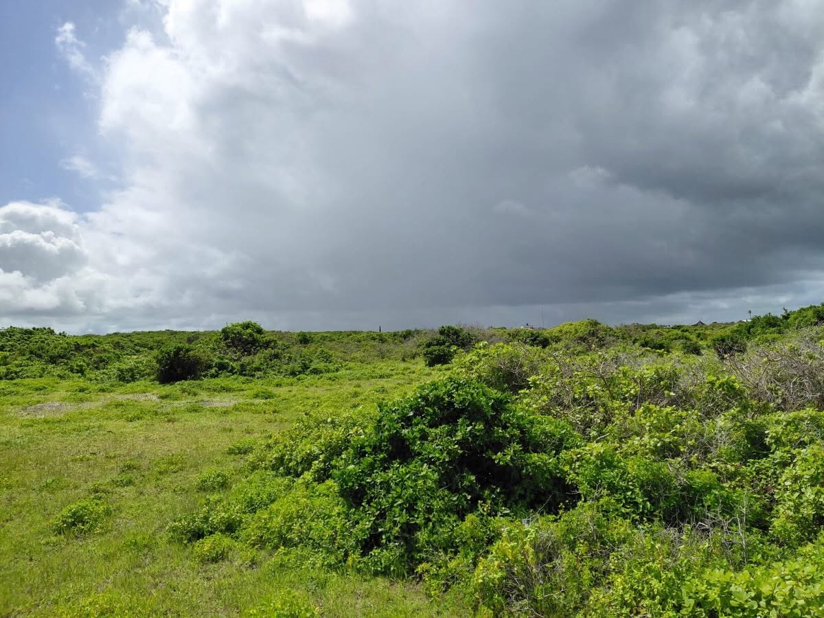 Prime Beachfront Land for Sale