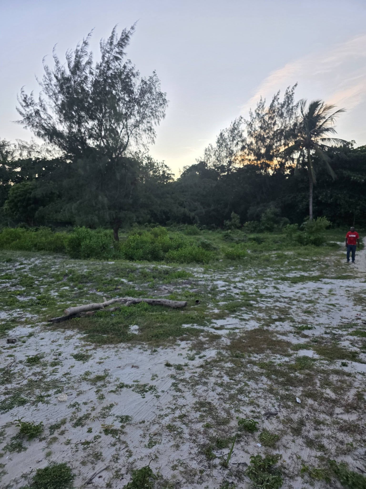 Prime Beachfront Land for Sale in Diani Beach – Near Pinewood Beach Resort Image