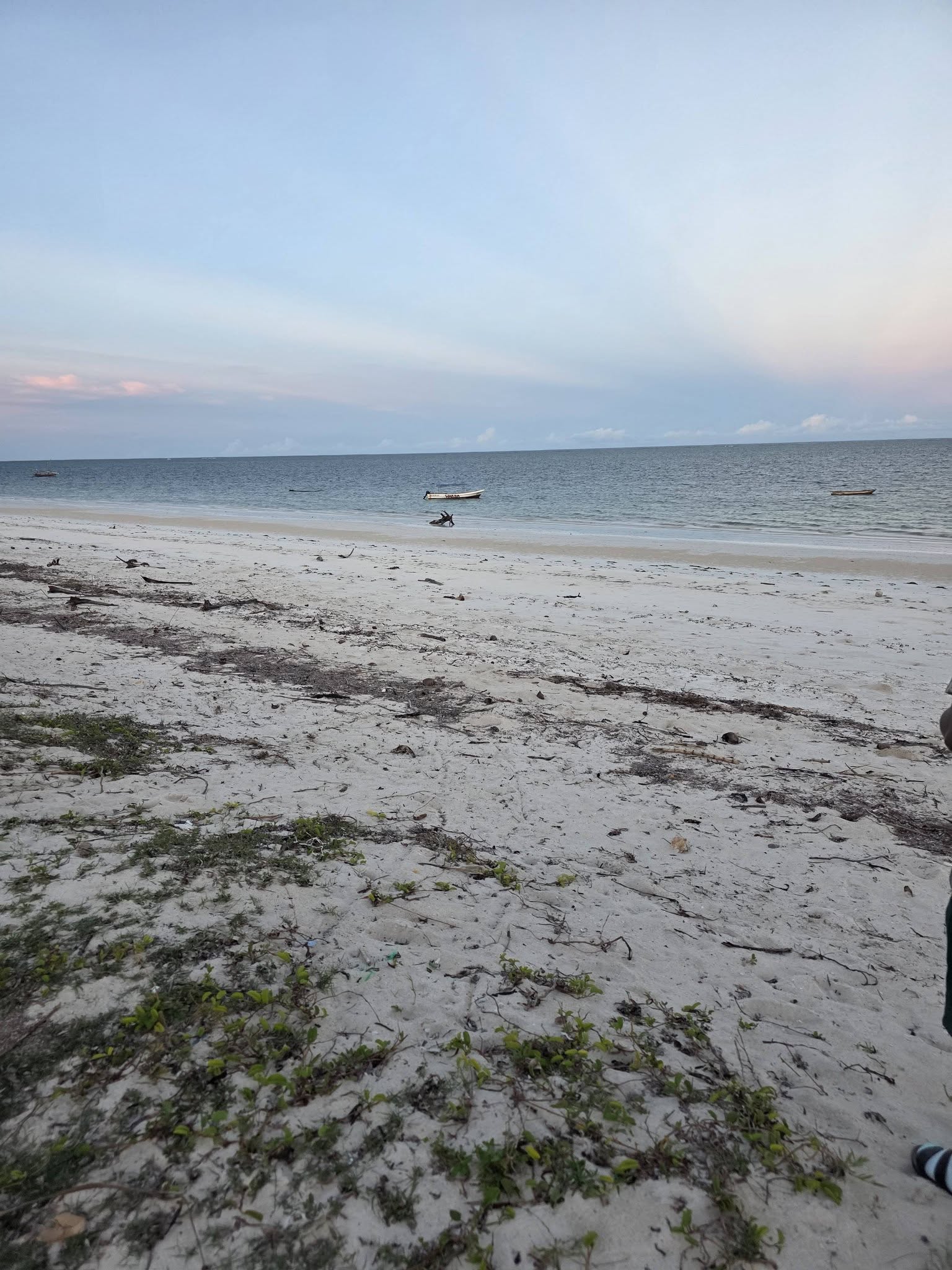 Prime Beachfront Land for Sale in Diani Beach – Near Pinewood Beach Resort